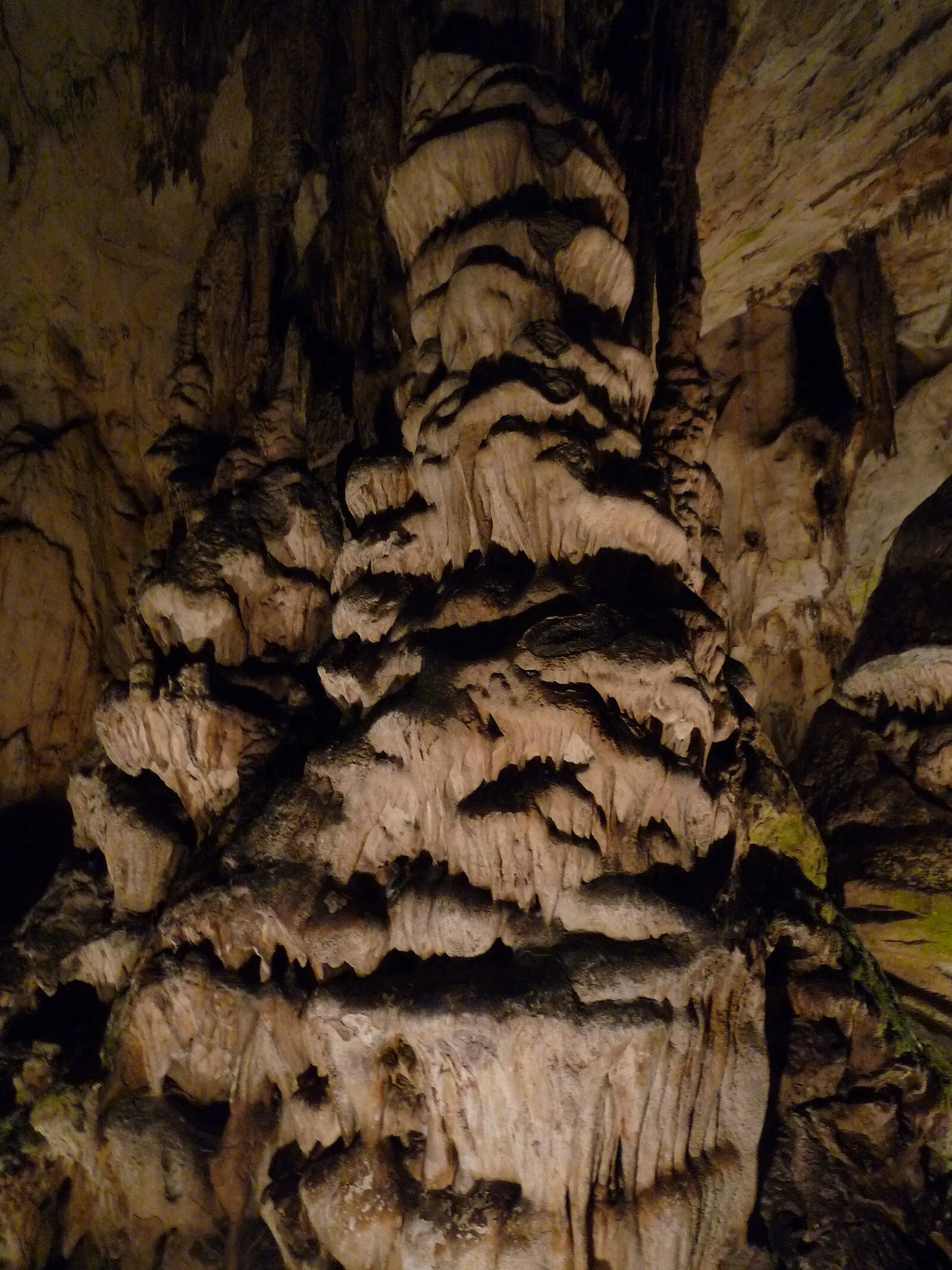 Magura Cave